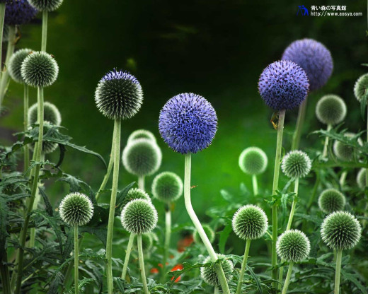 430593 (a): :1280x1024